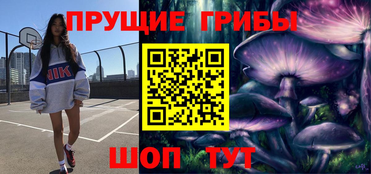 Псилоцибиновые грибы прущие грибы  купить  цена  Нурлат  Вход с VPN 
