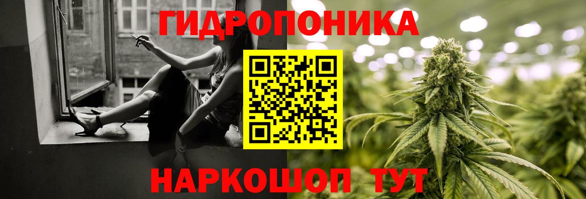Канабис план Нурлат